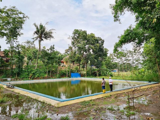 Antisipasi Musim Kemarau, Kementan Optimalkan Lahan Sawah Melalui ...