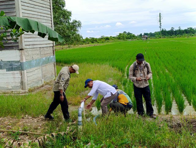 Gencarkan Program Pompanisasi, Kementan Perluas Areal Tanam Di Kaltara