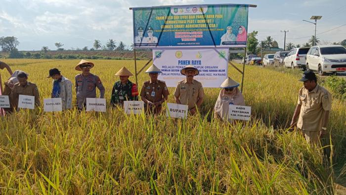 Kementan Dorong Petani Pangkep Tingkatkan Produktivitas Melalui CSA ...