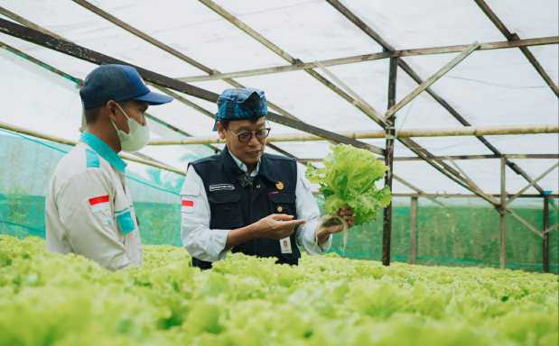 Kepala BPPSDMP : Petani Milenial, Kunci Sukses Sektor Pertanian Masa Depan